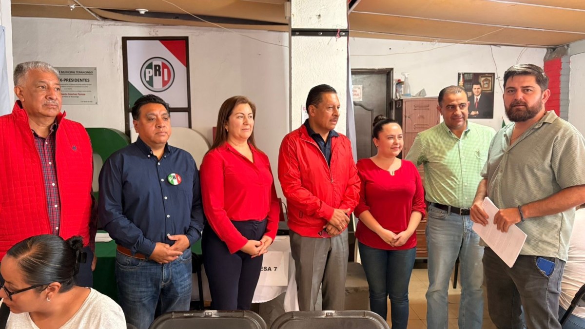 ANDREA NAVA INTEGRA LOS COMITÉS SECCIÓNALES DEL PRI , EN TENANCINGO